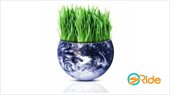 How I made a difference to the environment (and you can too)